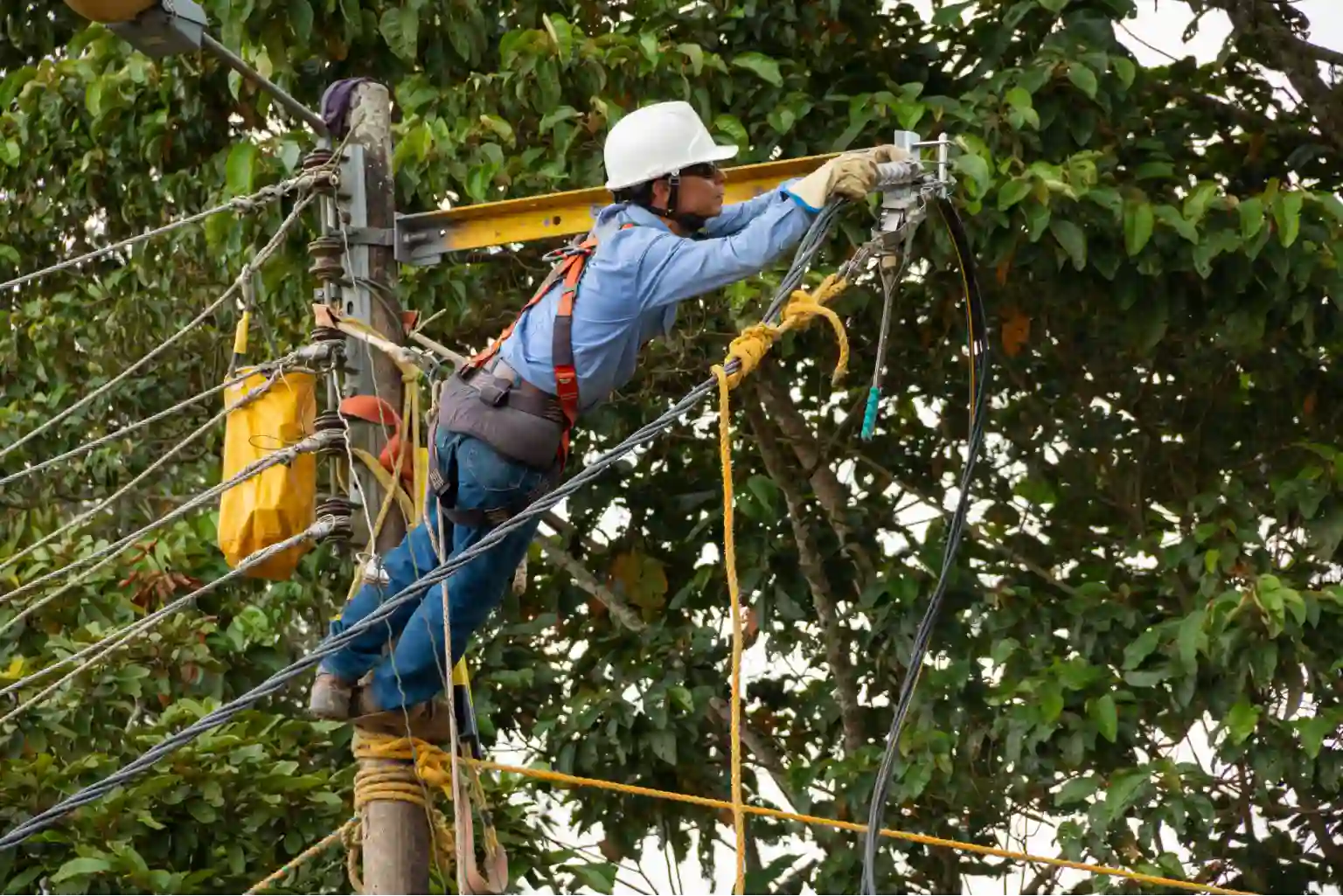field service